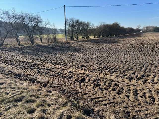 Działka budowlana Zbietka. Zdjęcie 3