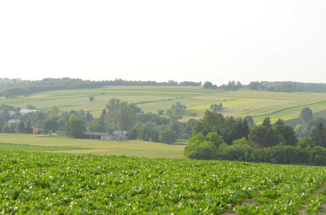 Działka rolna Udrycze-Koniec. Zdjęcie 1