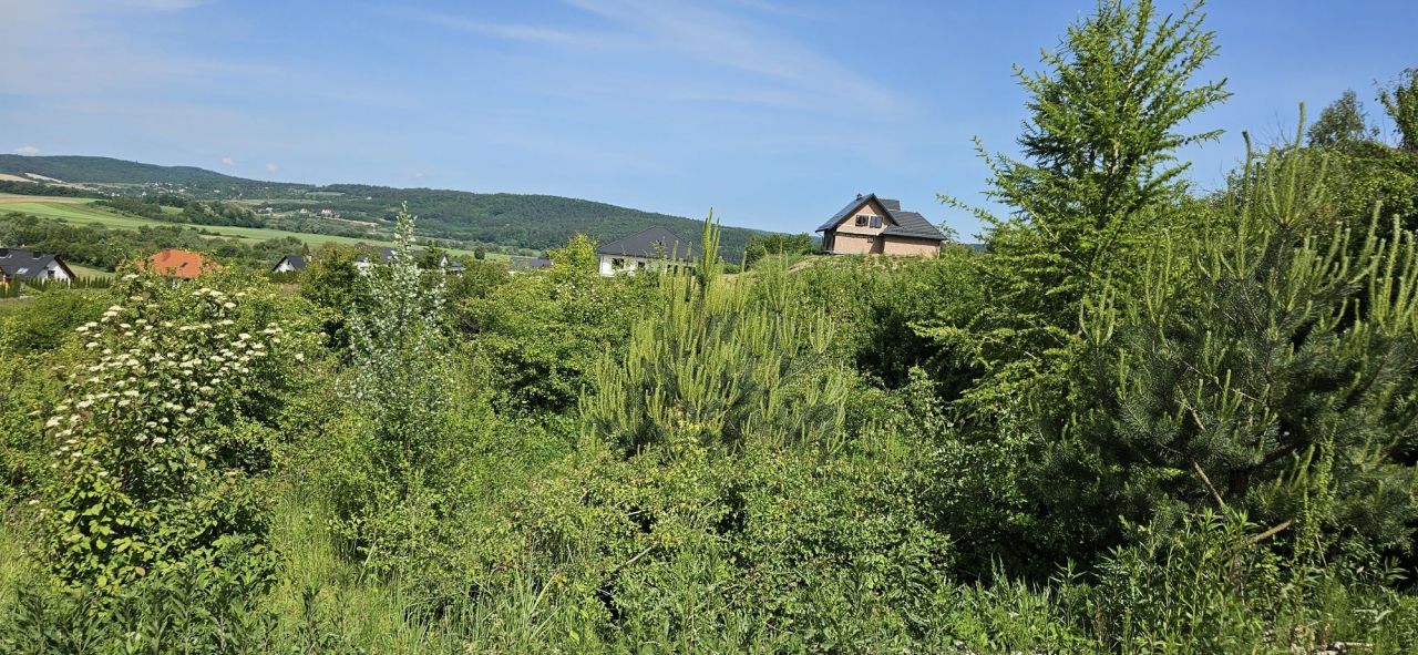 Działka budowlana Ostrów. Zdjęcie 3