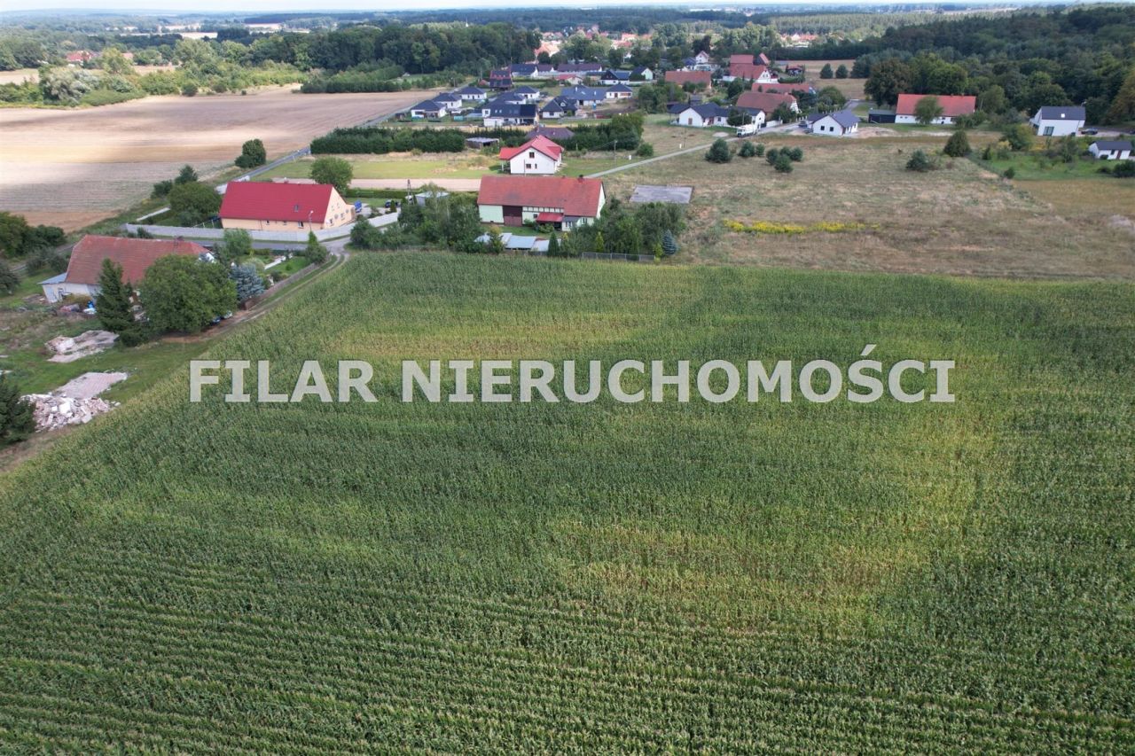 Działka budowlana Miłoradzice. Zdjęcie 5