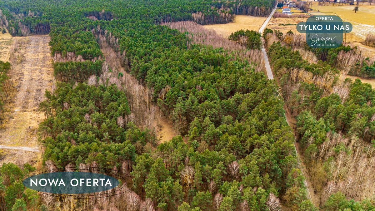 Działka leśna Szczerców, ul. Leśna. Zdjęcie 4