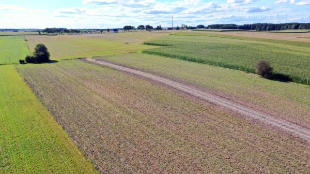 Działka budowlana Kolno. Zdjęcie 14