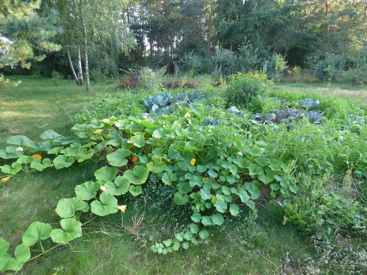 dom wolnostojący, 3 pokoje Górki Grubaki. Zdjęcie 17