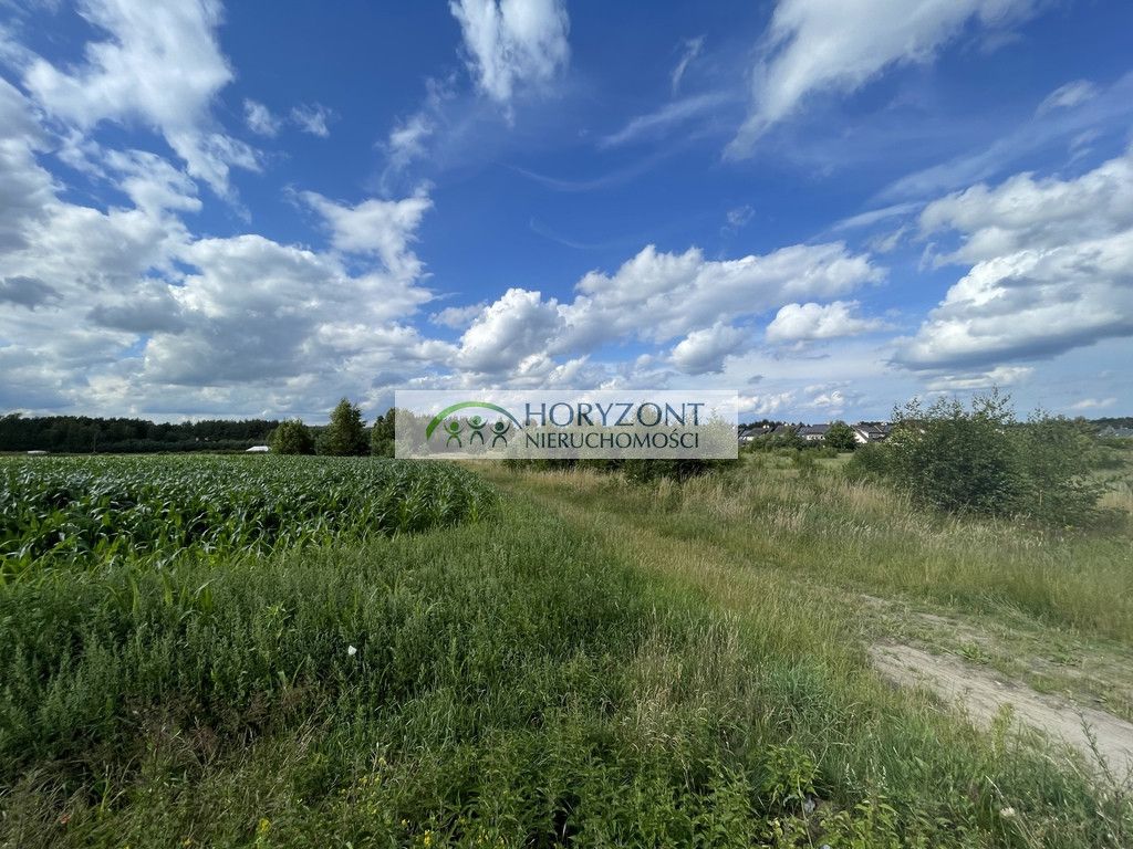 Działka Bojano. Zdjęcie 2