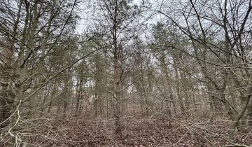 Działka budowlana Chotomów, ul. Kasztanowa