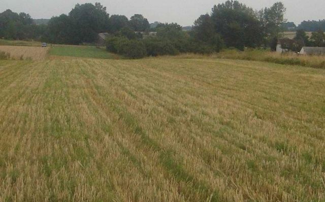 Działka rolno-budowlana Ulina Mała. Zdjęcie 1