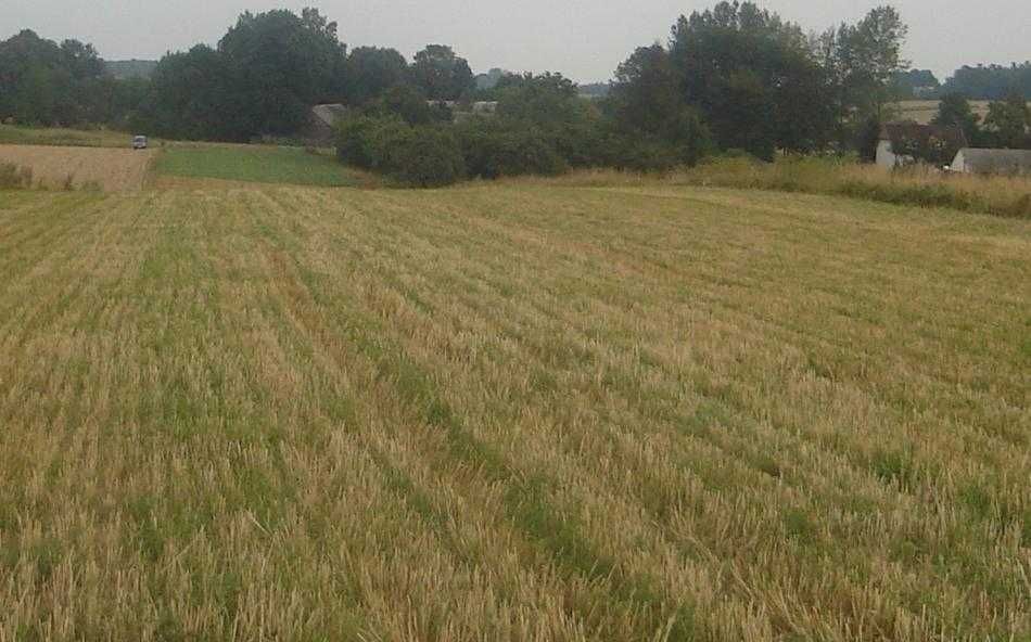 Działka rolno-budowlana Ulina Mała. Zdjęcie 1