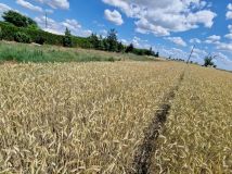 Działka budowlana Dolne Pole. Zdjęcie 2