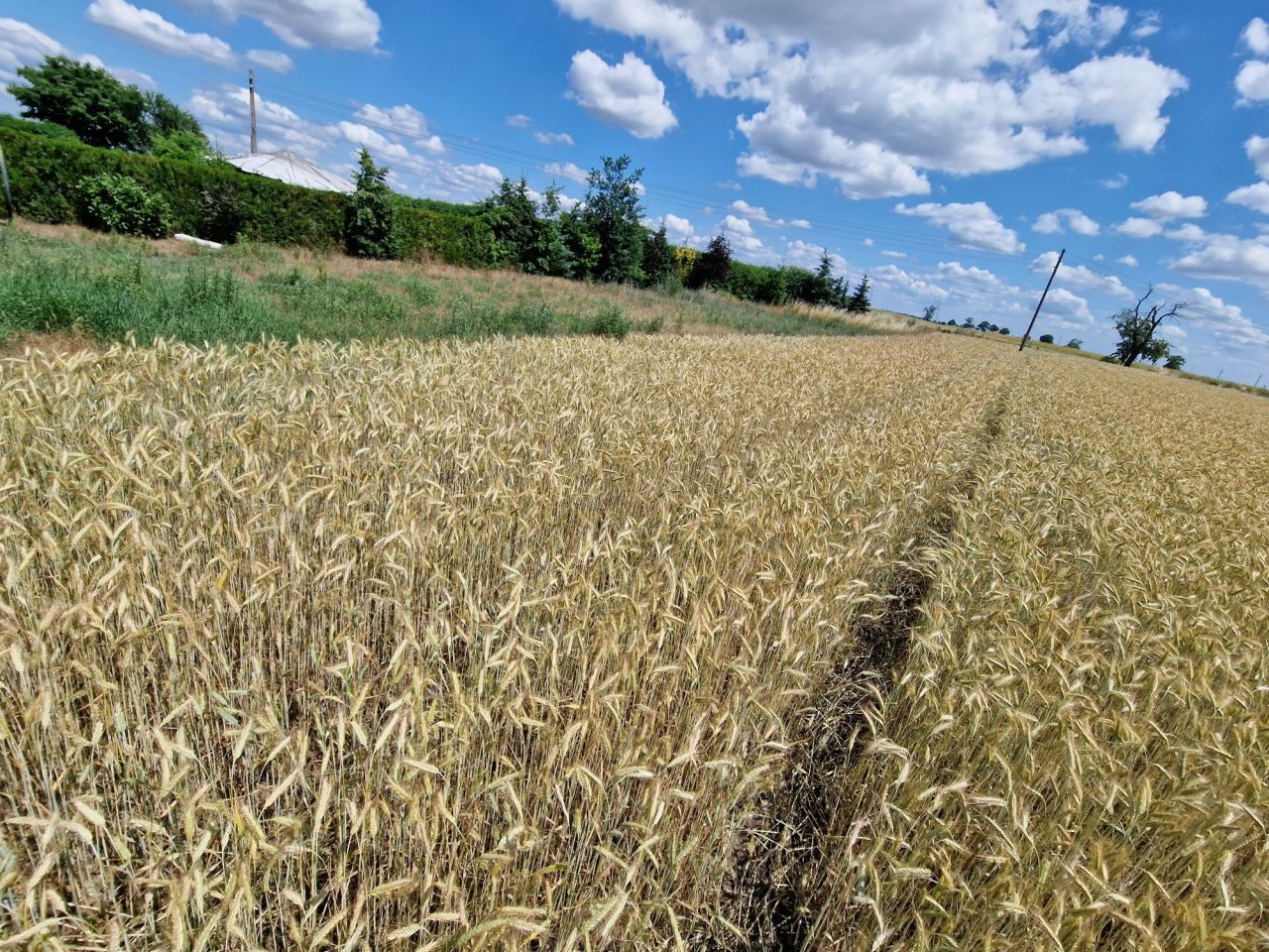 Działka budowlana Dolne Pole. Zdjęcie 3
