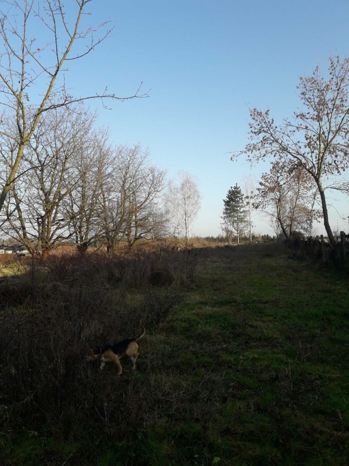 Działka budowlana Krasnystaw, ul. Nasienna. Zdjęcie 5