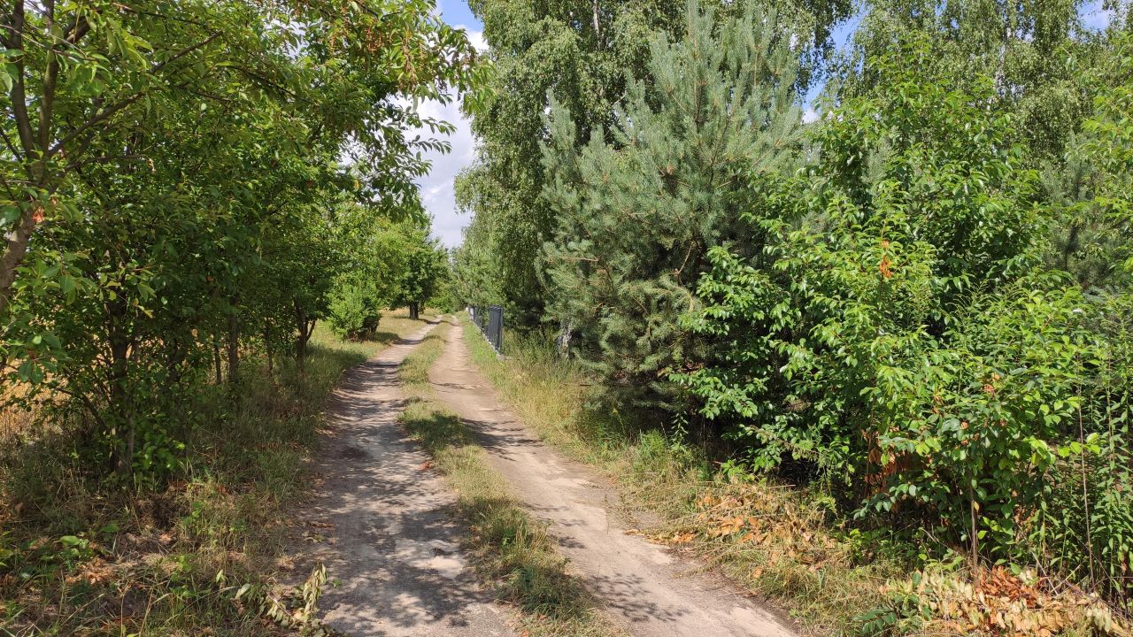 Działka budowlana Henrykowo. Zdjęcie 11