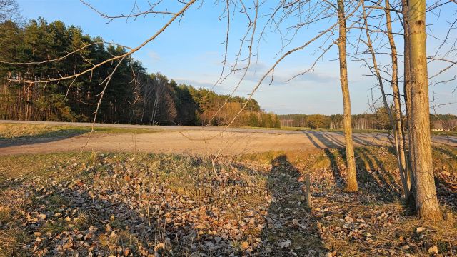 Działka rekreacyjna Nowa Wieś. Zdjęcie 1