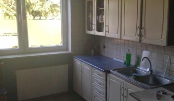 Mieszkanie 2-pokojowe Cebulki