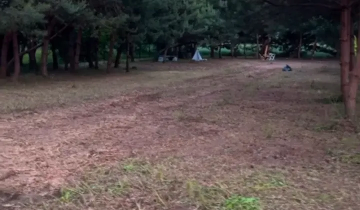 Działka budowlana Wąsy-Kolonia