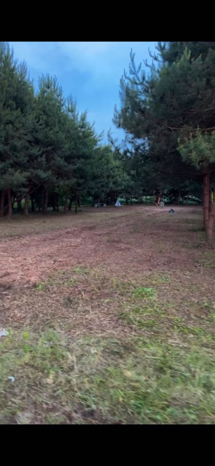 Działka budowlana Wąsy-Kolonia. Zdjęcie 1