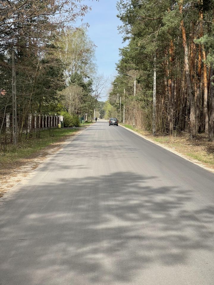 Działka leśna Cegielnia, ul. gen. Władysława Sikorskiego. Zdjęcie 2