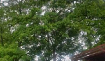 Działka siedliskowa Bytoń