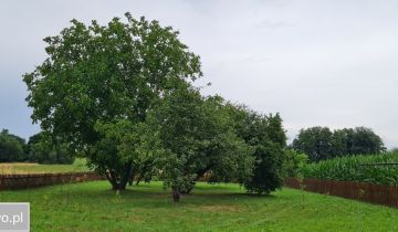 gospodarstwo, 4 pokoje Parczew