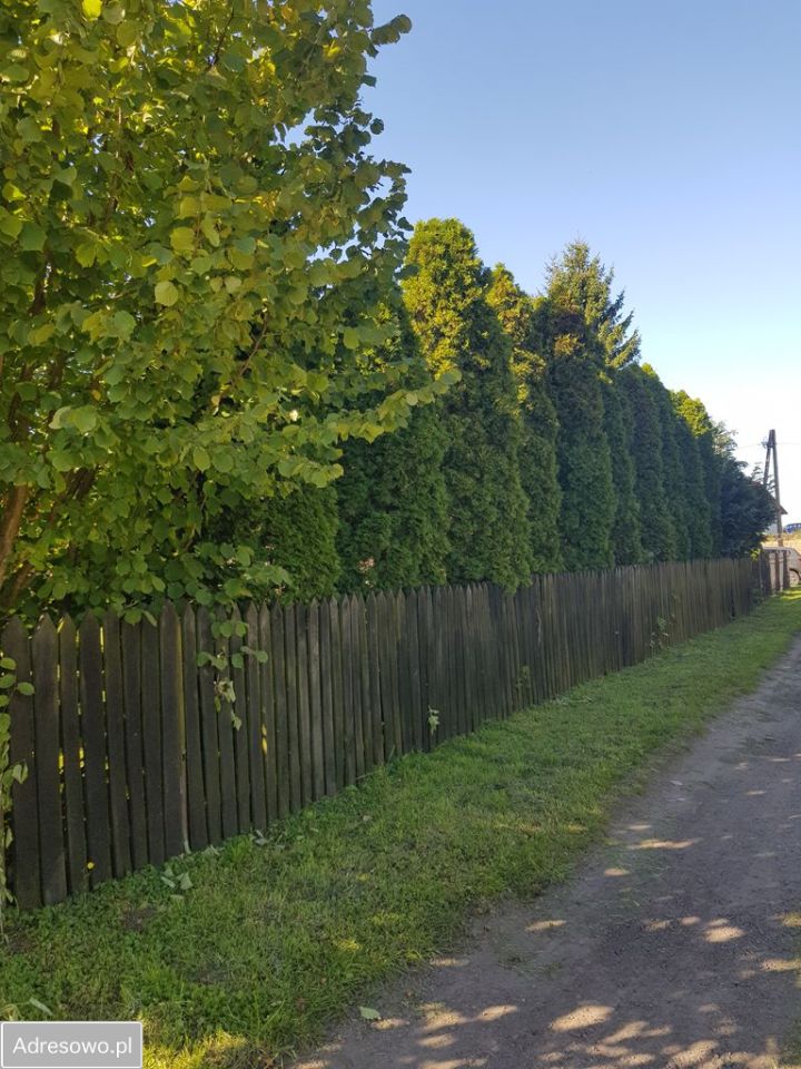 gospodarstwo, 3 pokoje Głazów. Zdjęcie 5