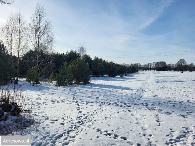 Działka rolna Chełsty. Zdjęcie 1