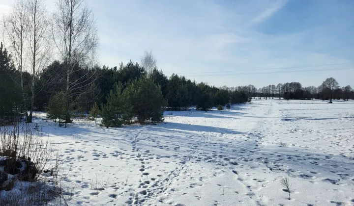 Działka rolna Chełsty