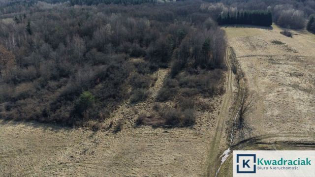 Działka rolna Lutcza. Zdjęcie 2