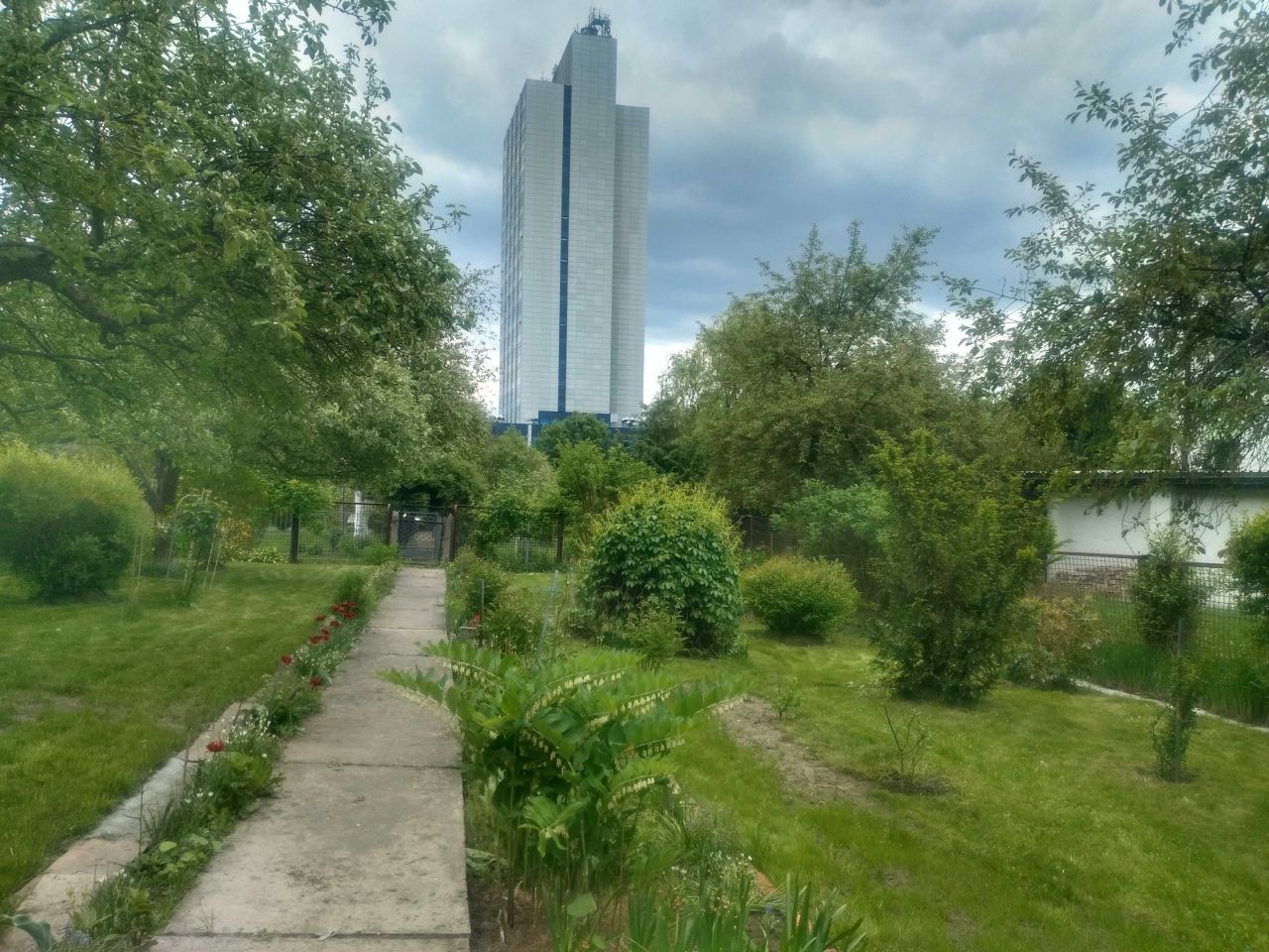 Działka rod Sosnowiec. Zdjęcie 6