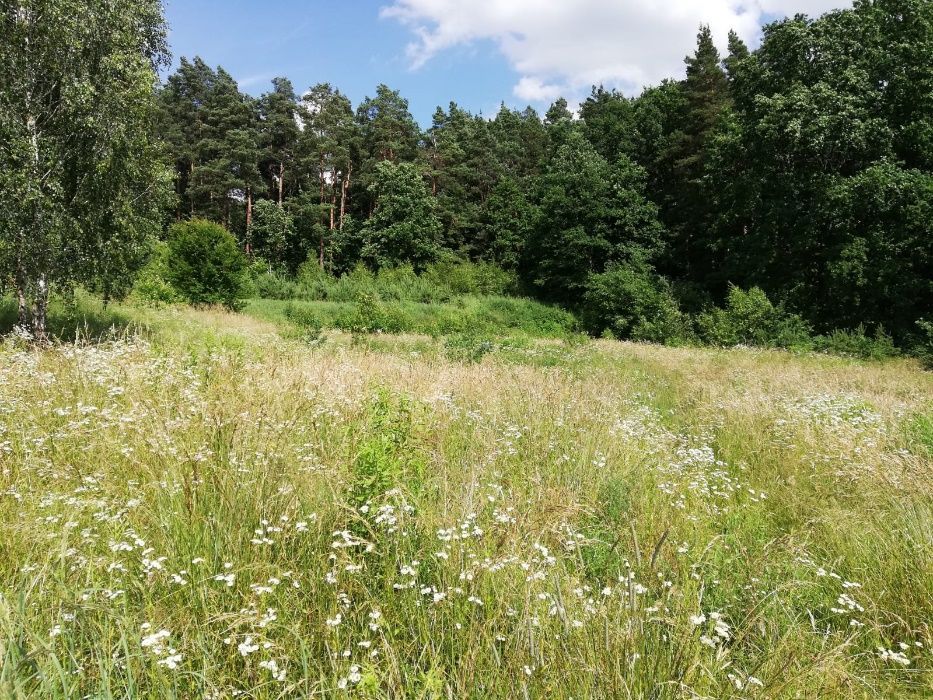 Działka budowlana Sząbruk