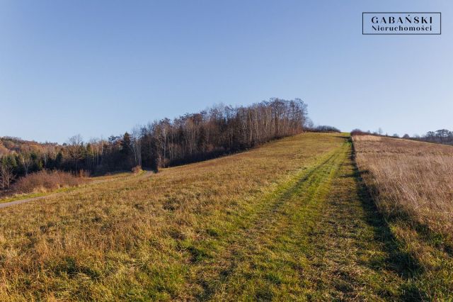 Działka budowlana Zborowice. Zdjęcie 14