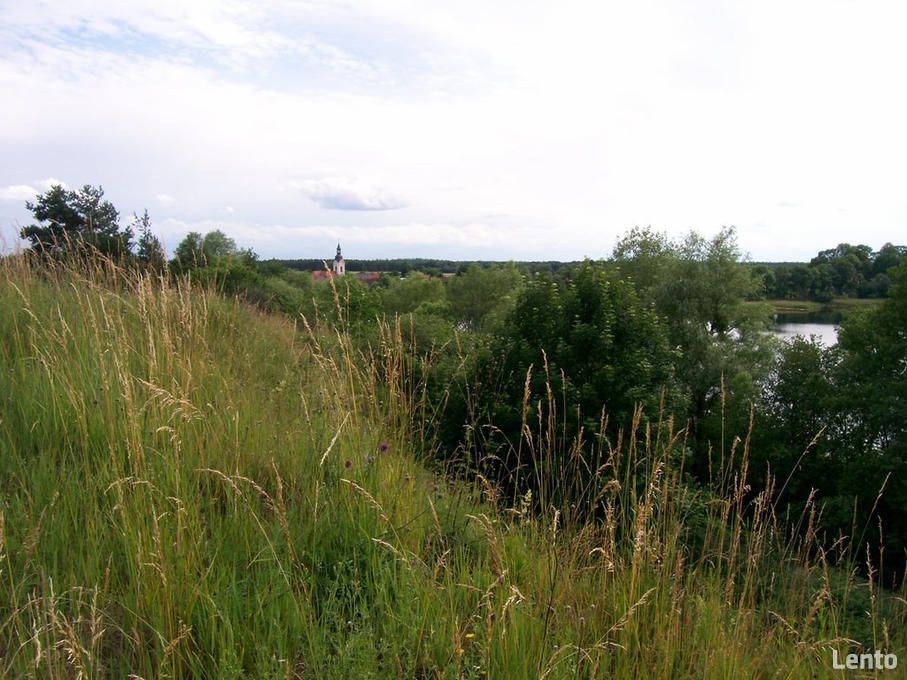 Działka rolna Chłopowo. Zdjęcie 7