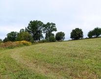 Działka rolno-budowlana Olszewo. Zdjęcie 2