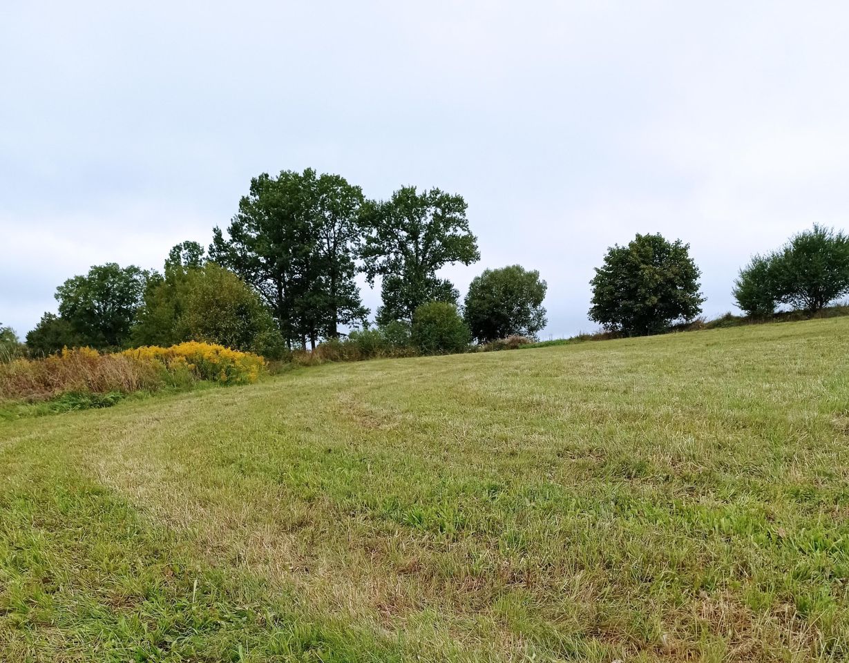 Działka rolno-budowlana Olszewo. Zdjęcie 3