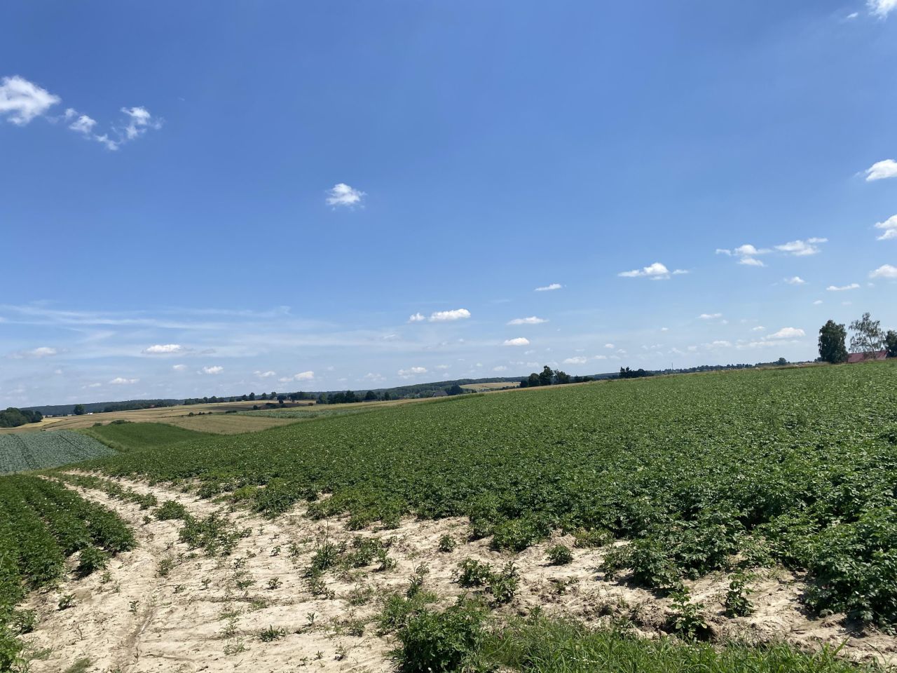 Działka rolna Tczyca Tczyca Duchowna. Zdjęcie 3