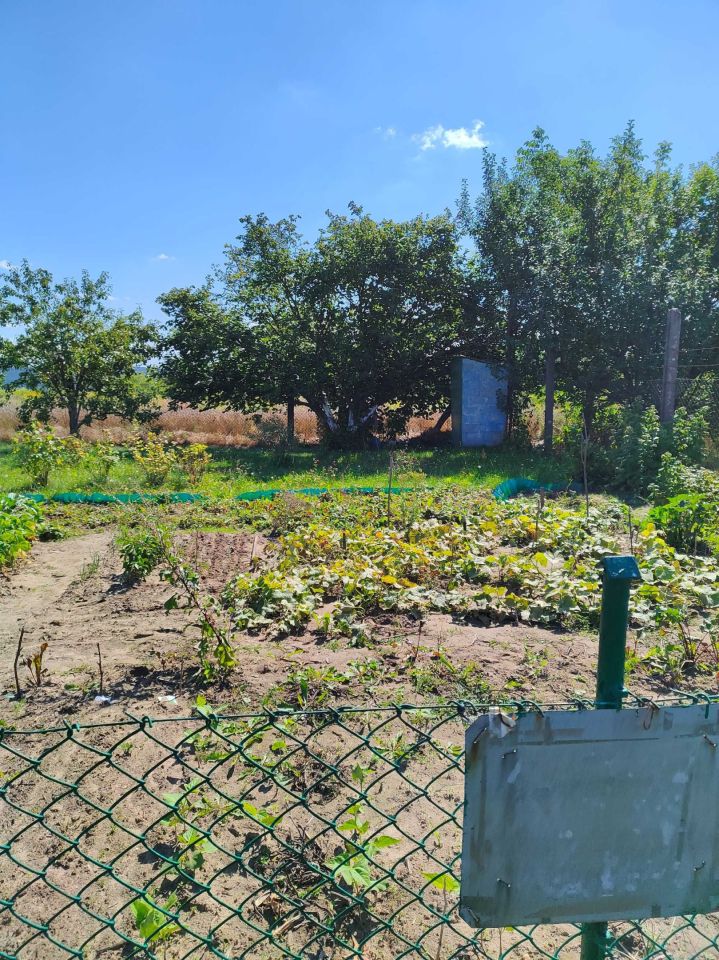 Działka rod Małogoszcz. Zdjęcie 4