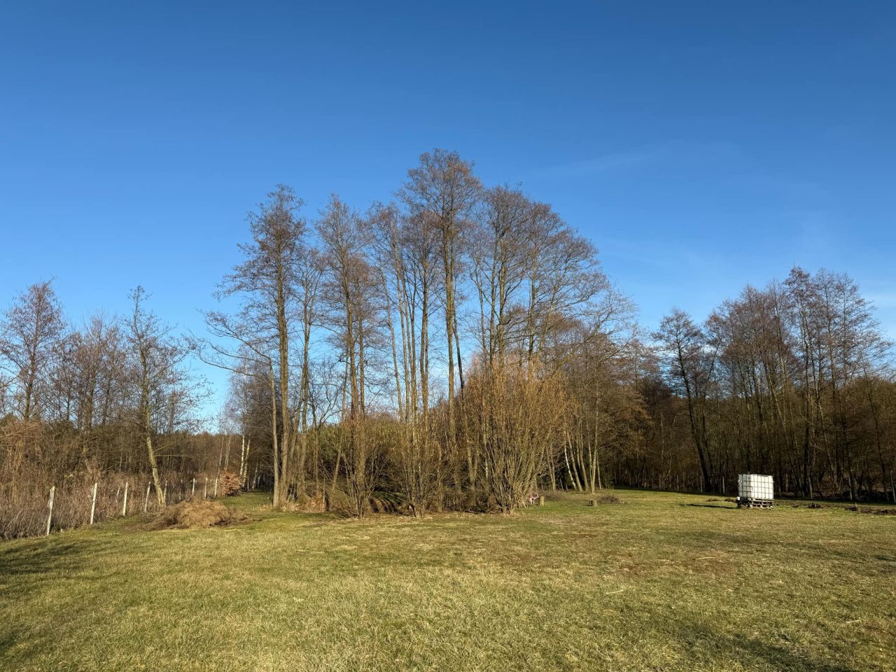 Działka rolno-budowlana Gaśno. Zdjęcie 4