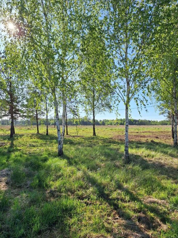 Działka Ślądkowice. Zdjęcie 2