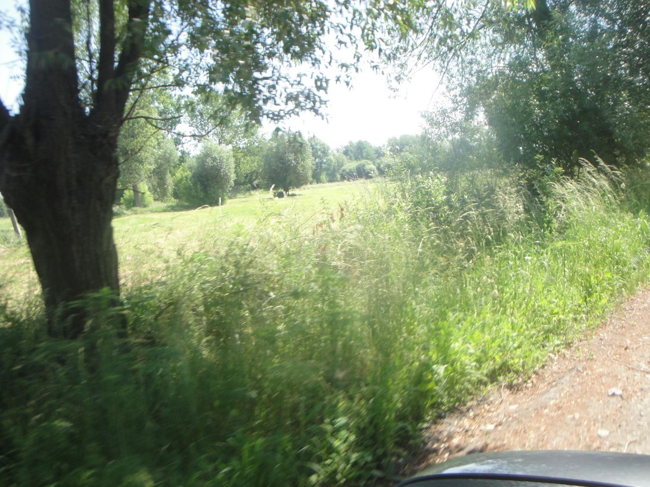 Działka rolno-budowlana Baranów, ul. Brzozowa. Zdjęcie 12