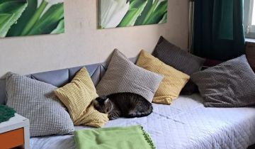 Pokój Warszawa Żoliborz, ul. Poli Gojawiczyńskiej