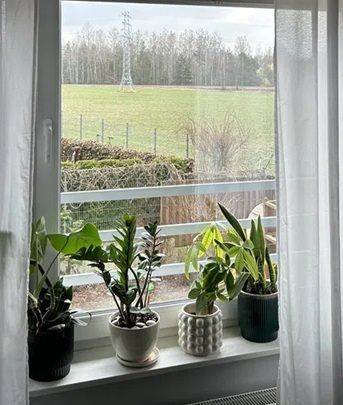 Mieszkanie 3-pokojowe Piaseczno. Zdjęcie 5