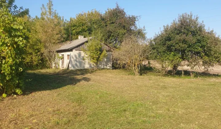 siedlisko Mogilnica