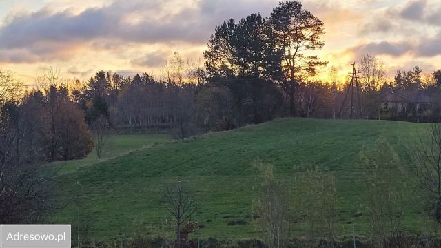 Działka rolno-budowlana Michalin. Zdjęcie 1