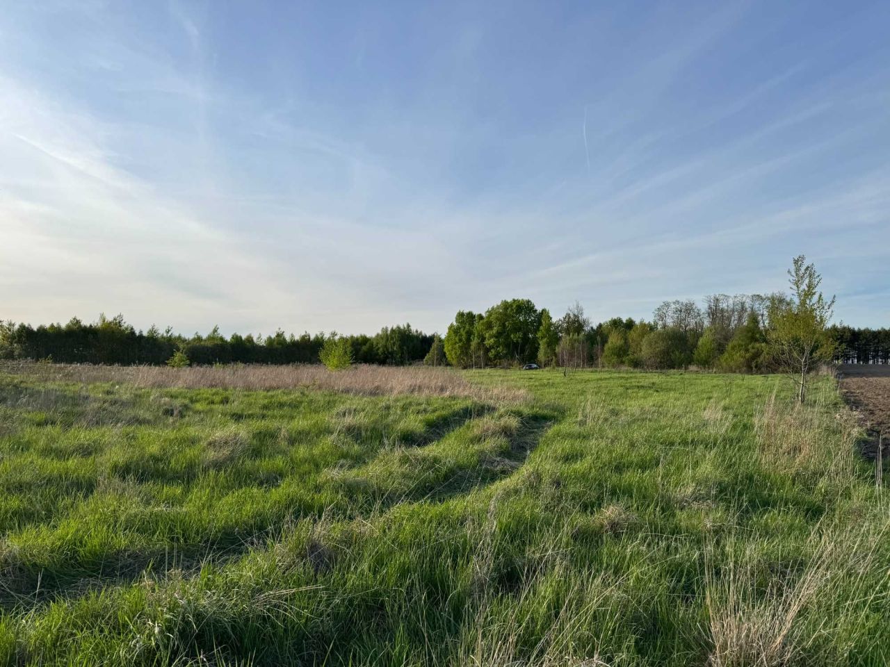 Działka rolno-budowlana Kołaczkowice