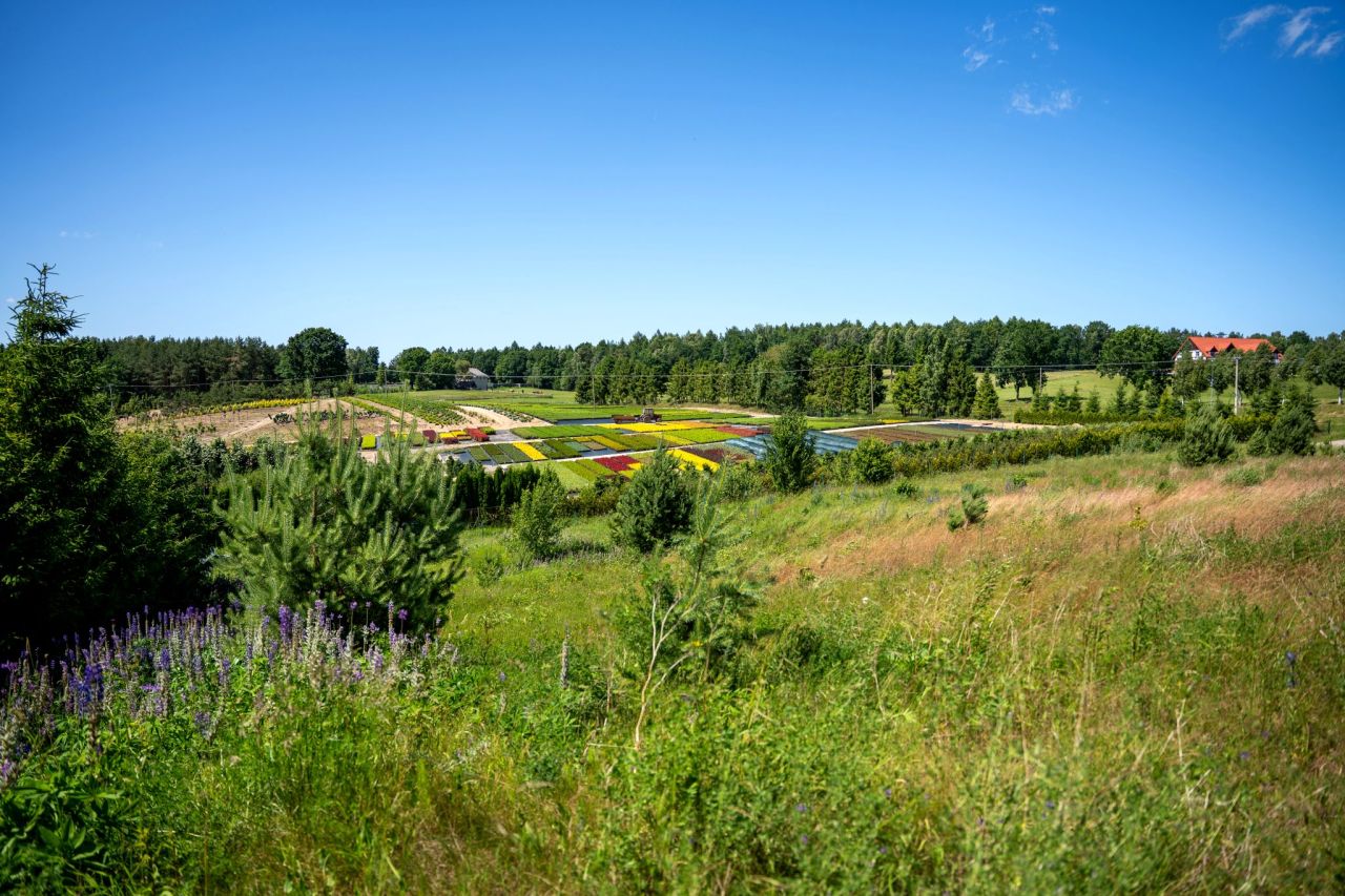Działka rolno-budowlana Garcz, ul. Widokowa. Zdjęcie 12