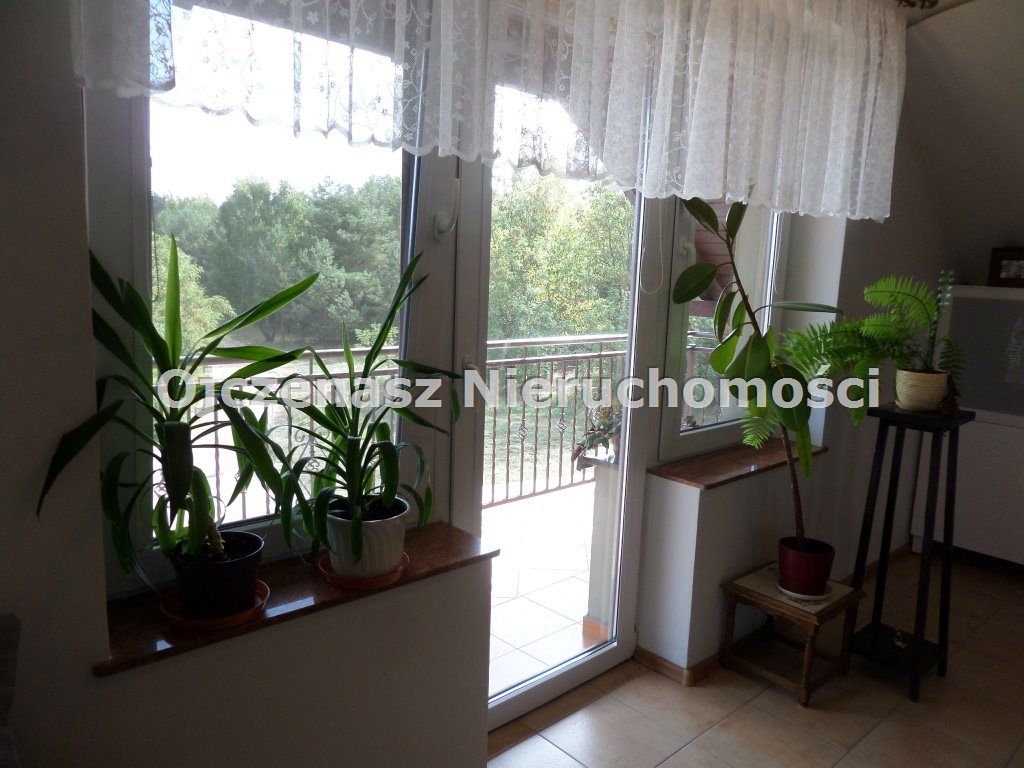 Lokal Koronowo. Zdjęcie 15