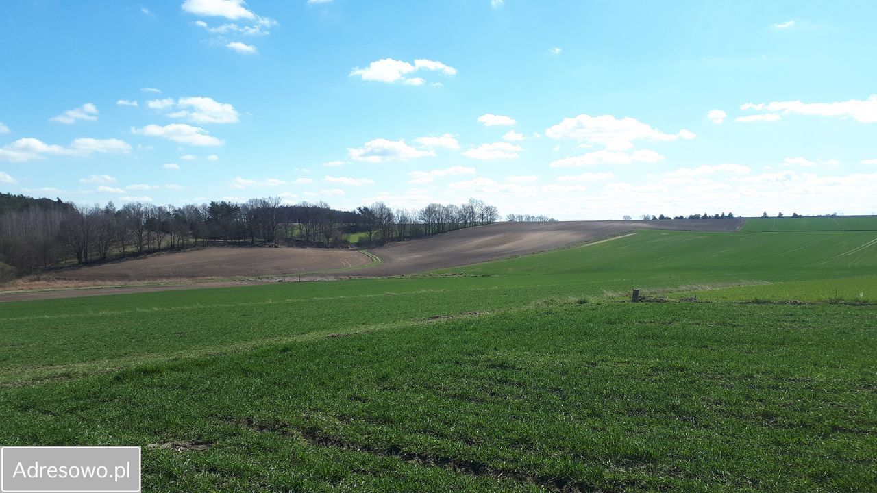 Działka budowlana Osła. Zdjęcie 3