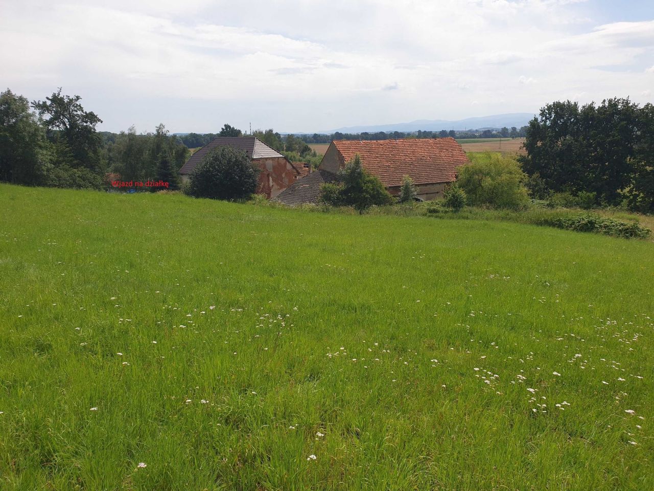 Działka budowlana Niegoszów. Zdjęcie 6