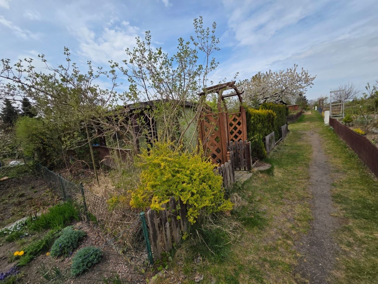 Działka rod Sulechów. Zdjęcie 3