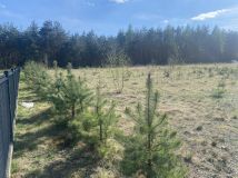 Działka budowlana Malerzów. Zdjęcie 4