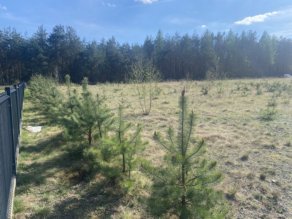 Działka budowlana Malerzów. Zdjęcie 5