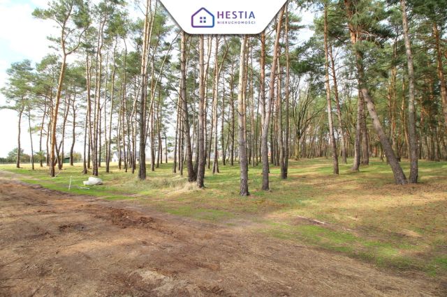 dom wolnostojący, 5 pokoi Dobra. Zdjęcie 2